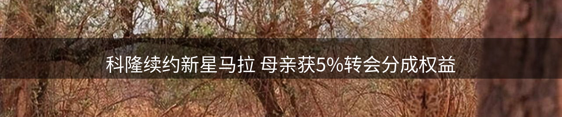 品牌资讯