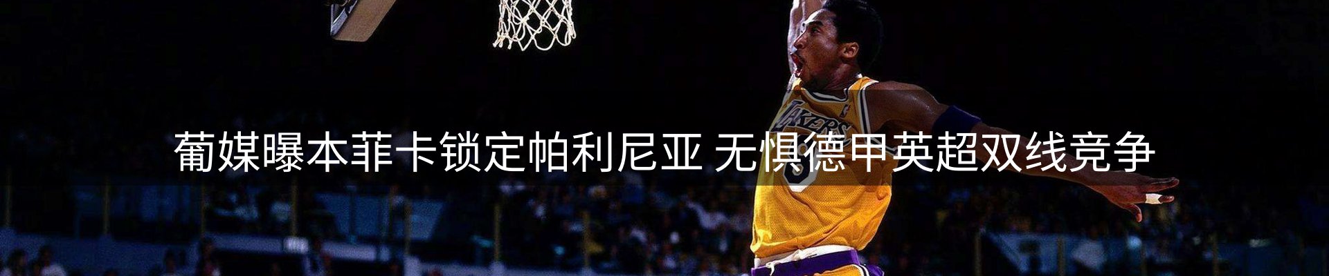 品牌资讯