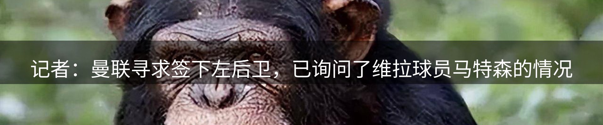新闻速递